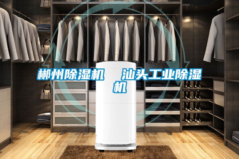 郴州除濕機  汕頭工業除濕機