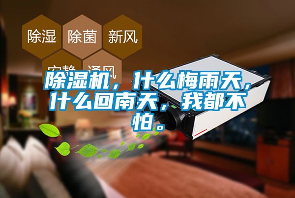 除濕機，什么梅雨天，什么回南天，我都不怕。