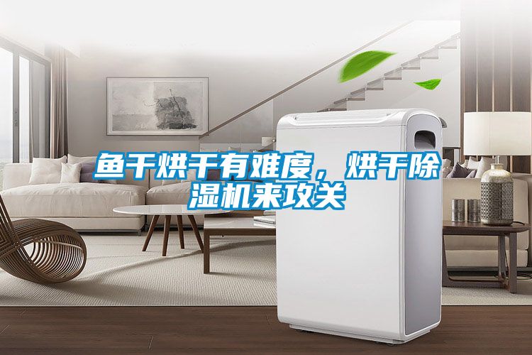 魚干烘干有難度，烘干除濕機來攻關