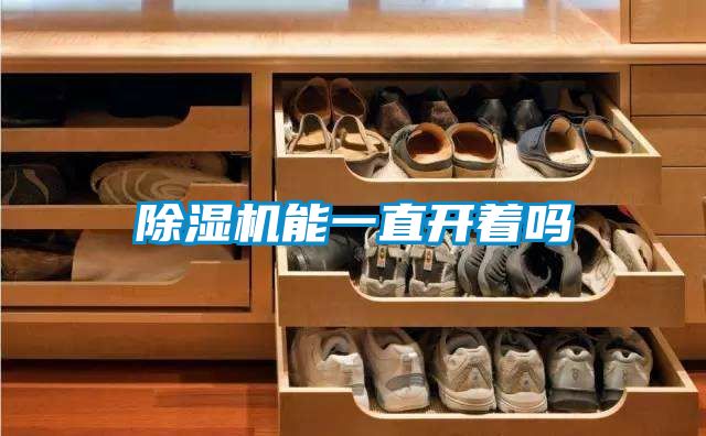 除濕機(jī)能一直開著嗎