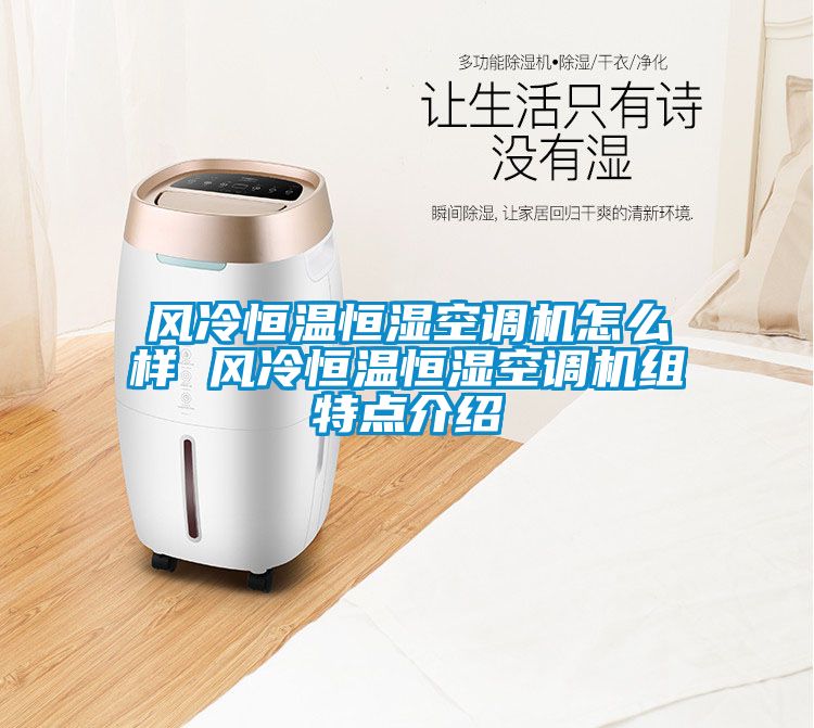 風冷恒溫恒濕空調機怎么樣 風冷恒溫恒濕空調機組特點介紹