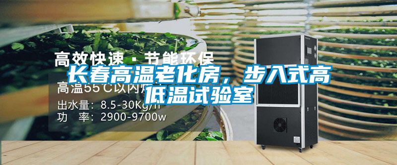 長春高溫老化房，步入式高低溫試驗室