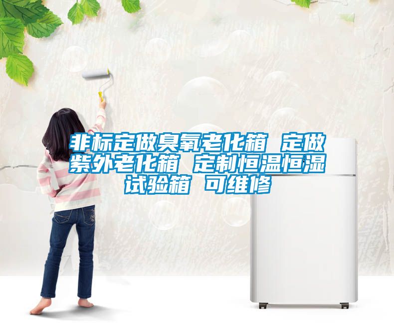 非標定做臭氧老化箱 定做紫外老化箱 定制恒溫恒濕試驗箱 可維修