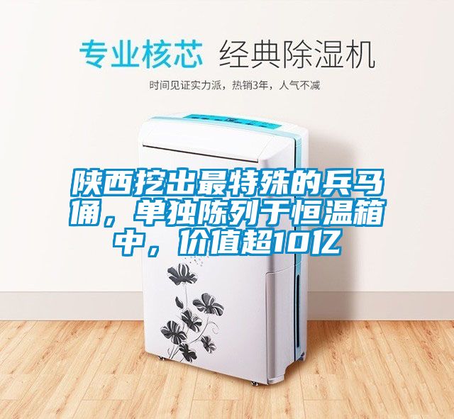 陜西挖出最特殊的兵馬俑，單獨陳列于恒溫箱中，價值超10億