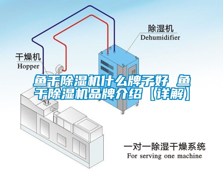 魚(yú)干除濕機(jī)什么牌子好 魚(yú)干除濕機(jī)品牌介紹【詳解】