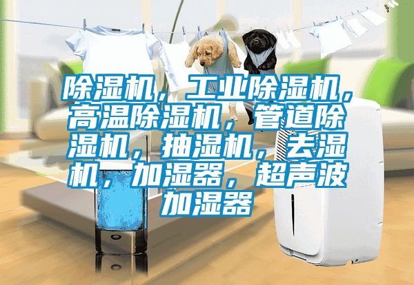 除濕機，工業除濕機，高溫除濕機，管道除濕機，抽濕機，去濕機，加濕器，超聲波加濕器