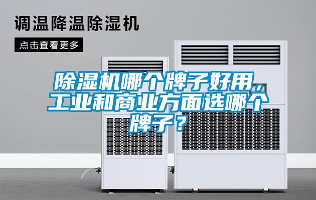 除濕機哪個牌子好用，工業(yè)和商業(yè)方面選哪個牌子？