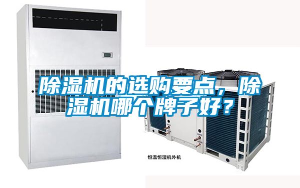 除濕機(jī)的選購要點(diǎn)，除濕機(jī)哪個牌子好？