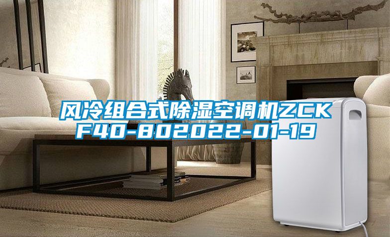 風冷組合式除濕空調機ZCKF40-802022-01-19