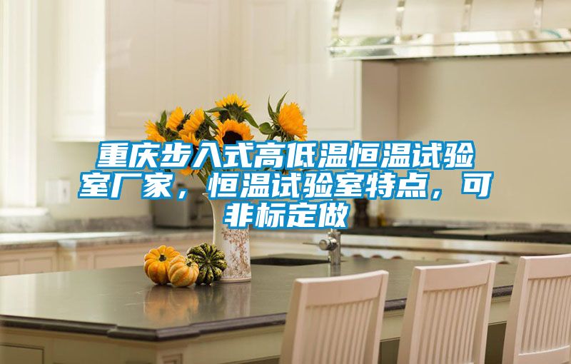 重慶步入式高低溫恒溫試驗室廠家，恒溫試驗室特點，可非標(biāo)定做