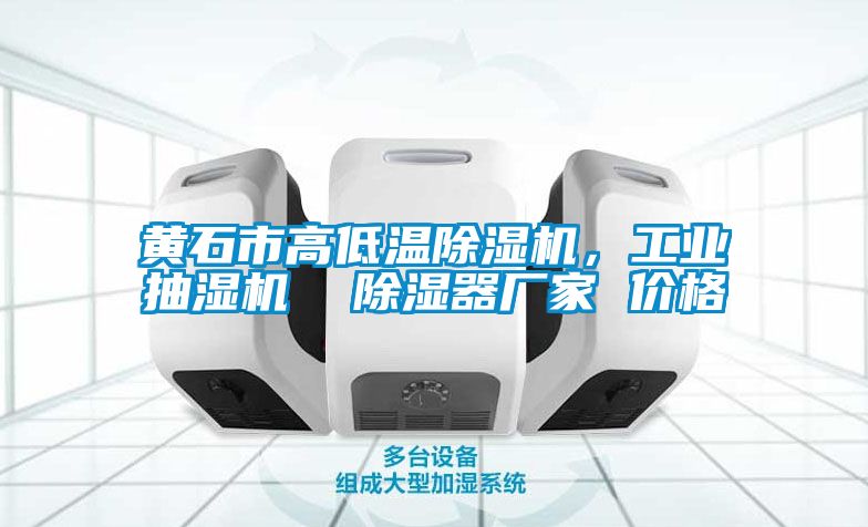 黃石市高低溫除濕機，工業抽濕機  除濕器廠家 價格