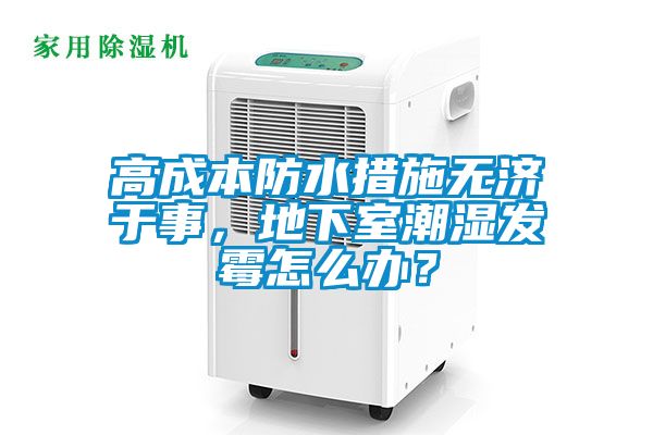 高成本防水措施無濟于事，地下室潮濕發霉怎么辦？