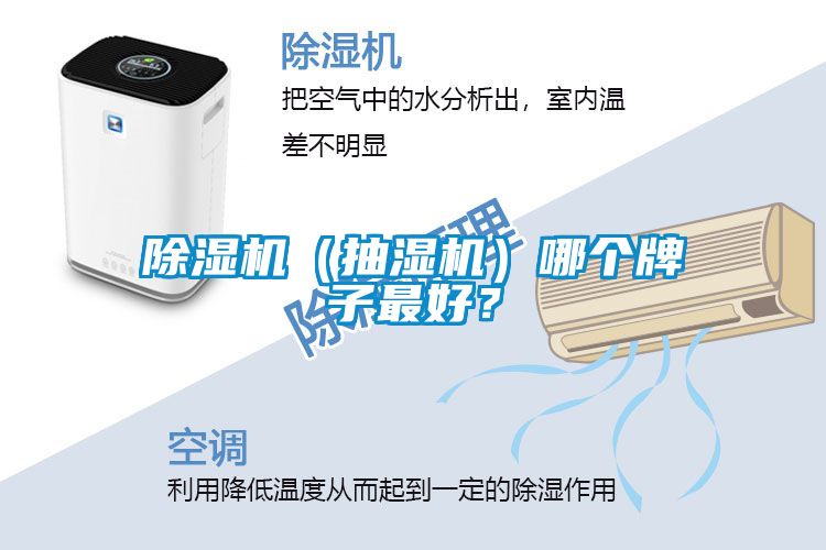 除濕機(jī)（抽濕機(jī)）哪個(gè)牌子最好？