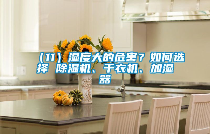 （11）濕度大的危害？如何選擇 除濕機、干衣機、加濕器