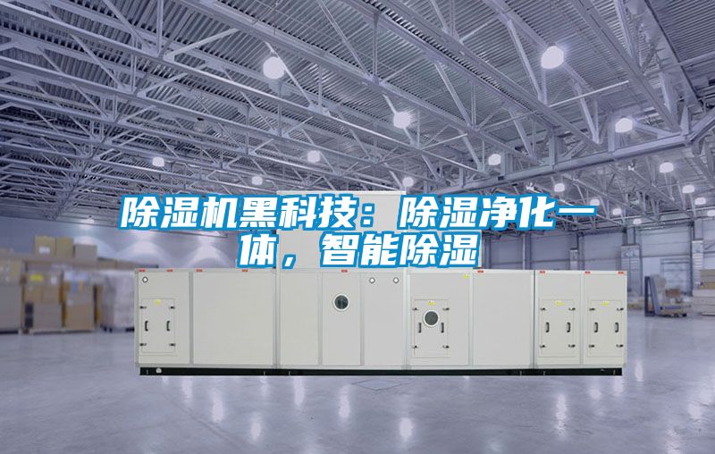 除濕機(jī)黑科技：除濕凈化一體，智能除濕