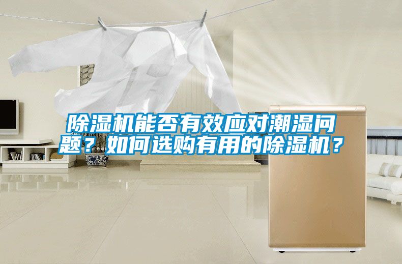 除濕機能否有效應對潮濕問題？如何選購有用的除濕機？