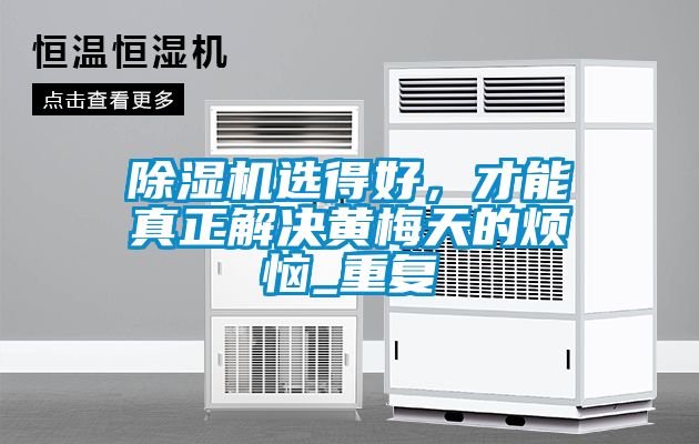 除濕機選得好，才能真正解決黃梅天的煩惱_重復