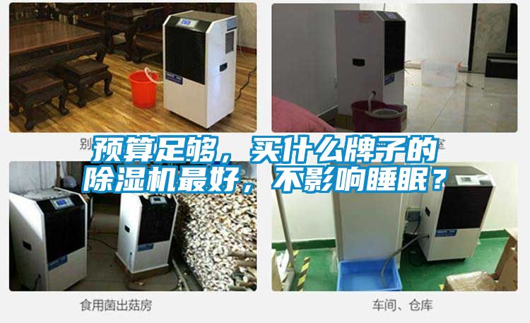 預算足夠，買什么牌子的除濕機最好，不影響睡眠？