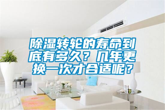 除濕轉(zhuǎn)輪的壽命到底有多久？幾年更換一次才合適呢？