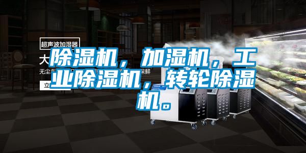 除濕機，加濕機，工業(yè)除濕機，轉(zhuǎn)輪除濕機。