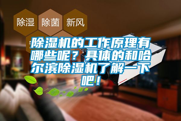 除濕機(jī)的工作原理有哪些呢？具體的和哈爾濱除濕機(jī)了解一下吧！