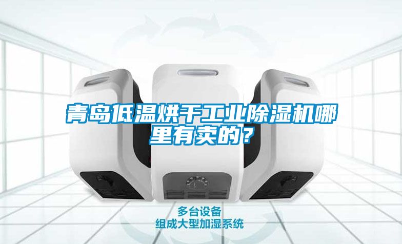 青島低溫烘干工業除濕機哪里有賣的？
