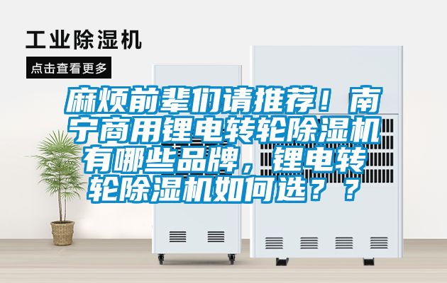 麻煩前輩們請(qǐng)推薦！南寧商用鋰電轉(zhuǎn)輪除濕機(jī)有哪些品牌，鋰電轉(zhuǎn)輪除濕機(jī)如何選？？