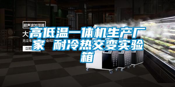 高低溫一體機(jī)生產(chǎn)廠家 耐冷熱交變實驗箱