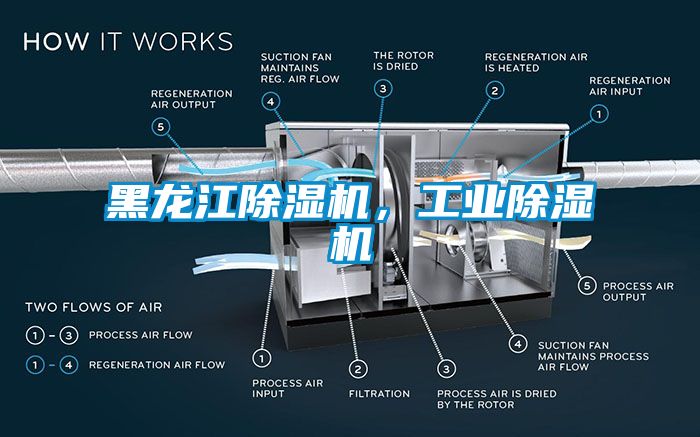 黑龍江除濕機，工業除濕機