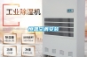 晉中恒溫恒濕電子儲存柜安裝