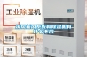 選購除濕機時的常見參數解析