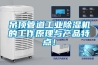 中國制造業如何步入后生存時代