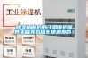 除濕機(jī)做好的日常維護(hù)保養(yǎng)才能有效延長使用壽命！