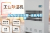 十大除濕機品牌排名（十大除濕機排行榜靠前品牌值得選擇）