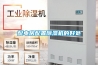 解讀：除濕機家電業 品牌與渠道誰先行