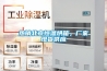 立式恒溫恒濕箱