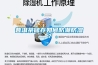 溫濕度試驗箱,環瑞環境品質穩定,溫濕度試驗箱定做