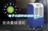 櫻桃大棚除濕機，嚴控濕度防止開裂