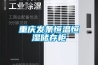 除濕機什么牌子好品質好（看看家用除濕機什么牌子的質量好）