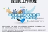 綏化恒溫恒濕機,除濕熱泵工作原理,恒溫熱泵