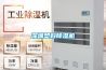 抽濕機（除濕機）哪個牌子好？