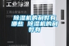 除濕機的使用技巧 除濕機應該怎么保養