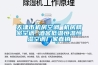 北京工業(yè)除濕機什么品牌好