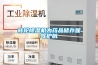除濕機用了都說好，可讓潮濕消失殆盡