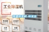 山東濟南家用除濕機，生產除濕機廠家