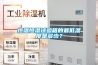 熱風除濕干燥機價格
