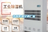 西林縣地下室除濕機的標準