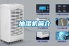 工業除濕機哪種效果比較好