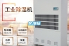 重慶步入式高低溫恒溫試驗室廠家，恒溫試驗室特點，可非標定做