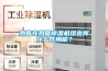梅雨季節潮氣重，如何防止室內物品受潮